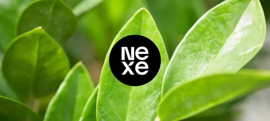 nexe kiel — HR news